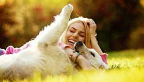 Седем причини, за които кучетата правят живота ни по-добър